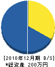 宮崎武久 貸借対照表 2010年12月期