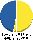 山本建設 貸借対照表 2007年12月期