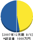 アサノ開発 貸借対照表 2007年12月期