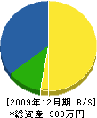 石塚電気 貸借対照表 2009年12月期