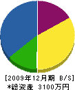 齊藤板金加工所 貸借対照表 2009年12月期