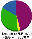 南西通信システム 貸借対照表 2009年12月期
