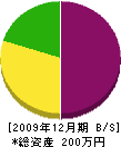 川＊建設 貸借対照表 2009年12月期