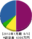 島栄緑化 貸借対照表 2012年1月期