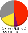 みづほ産業 損益計算書 2010年1月期