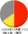 宮沢ハイテック工業 損益計算書 2009年12月期