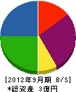 静岡コーキング工業 貸借対照表 2012年9月期