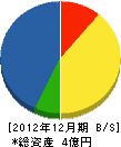 竹内 貸借対照表 2012年12月期