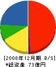 日本アルカテル・ルーセント 貸借対照表 2008年12月期