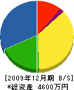 石川翠樹園 貸借対照表 2009年12月期