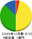 石塚建築 貸借対照表 2009年12月期