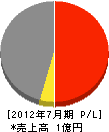渡邉工業 損益計算書 2012年7月期