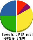 桜井電業所 貸借対照表 2009年12月期