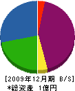 中央電気 貸借対照表 2009年12月期