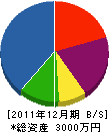 村崎設備 貸借対照表 2011年12月期