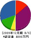 宍戸板金工業 貸借対照表 2009年12月期