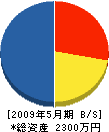 ヨシケン 貸借対照表 2009年5月期