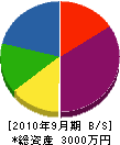 眞島電気 貸借対照表 2010年9月期