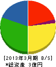 日本綜合産業 貸借対照表 2013年3月期