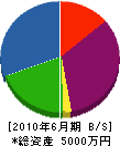 永井建設 貸借対照表 2010年6月期