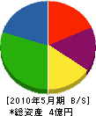 碧海電気 貸借対照表 2010年5月期