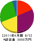 伊藤工業 貸借対照表 2011年6月期
