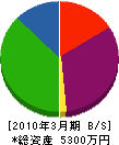 北澤ステンレス工業 貸借対照表 2010年3月期