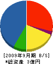 阿久澤電機 貸借対照表 2009年9月期