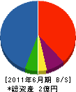山崎商会 貸借対照表 2011年6月期