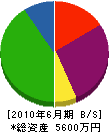 徳永組 貸借対照表 2010年6月期