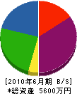松田塗装工業 貸借対照表 2010年6月期
