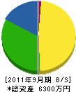 平塚農園 貸借対照表 2011年9月期