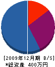 山脇内外装店 貸借対照表 2009年12月期