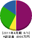 大桃塗装店 貸借対照表 2011年4月期