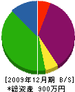 藤沢昭電社 貸借対照表 2009年12月期