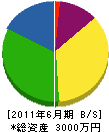 井芹総合開発 貸借対照表 2011年6月期