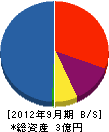 坂田工務店 貸借対照表 2012年9月期