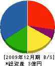 丸平工業 貸借対照表 2009年12月期