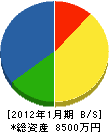 川崎商店 貸借対照表 2012年1月期
