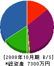 佐藤重機 貸借対照表 2008年10月期