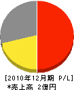 佐藤電機工業所 損益計算書 2010年12月期