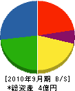 藤田化成 貸借対照表 2010年9月期