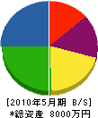 十枝内電気 貸借対照表 2010年5月期