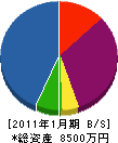 三井環境 貸借対照表 2011年1月期