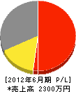 薗田塗装 損益計算書 2012年6月期