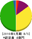 九州都市システム 貸借対照表 2010年6月期