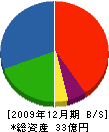 丸協組 貸借対照表 2009年12月期