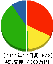 星野電気商会 貸借対照表 2011年12月期