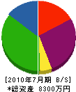 井上デンキ工事 貸借対照表 2010年7月期