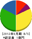 九栄電機 貸借対照表 2012年6月期